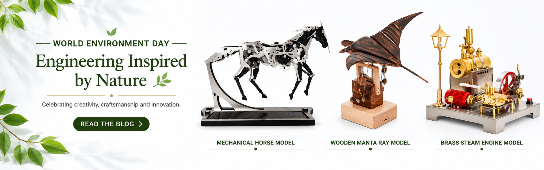 Engineering Inspired by Nature | World Environment Day and Mechanical Models enginediyshop