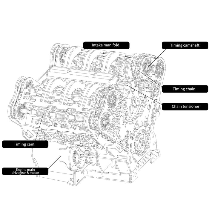 W12 Engine Model Kit – 1400+ PCS Motorized Wooden 3D Simulation Engine – DIY STEM Mechanical Engineering Display & Educational Model enginediyshop