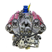 RUIFEIYA V10-150 1/4 Scale Working V10 Gas Engine Model - 150cc DOHC 40-Valve 4-Stroke 3-Ring Water-Cooled Internal Combustion Engine (Assembled Version) enginediyshop