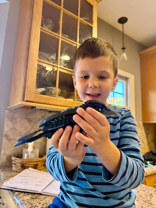 MOC-217187 Raven Bird Building Blocks Set (357PCS)